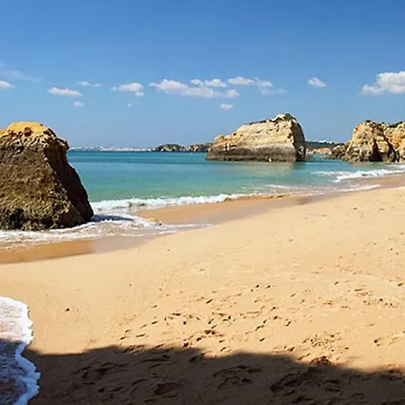 Praia Da Rocha - Roseira *